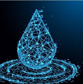  Digital Water Management: